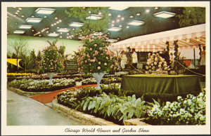 Photograph postcard of the Chicago World Flower & Garden Show from 1965.