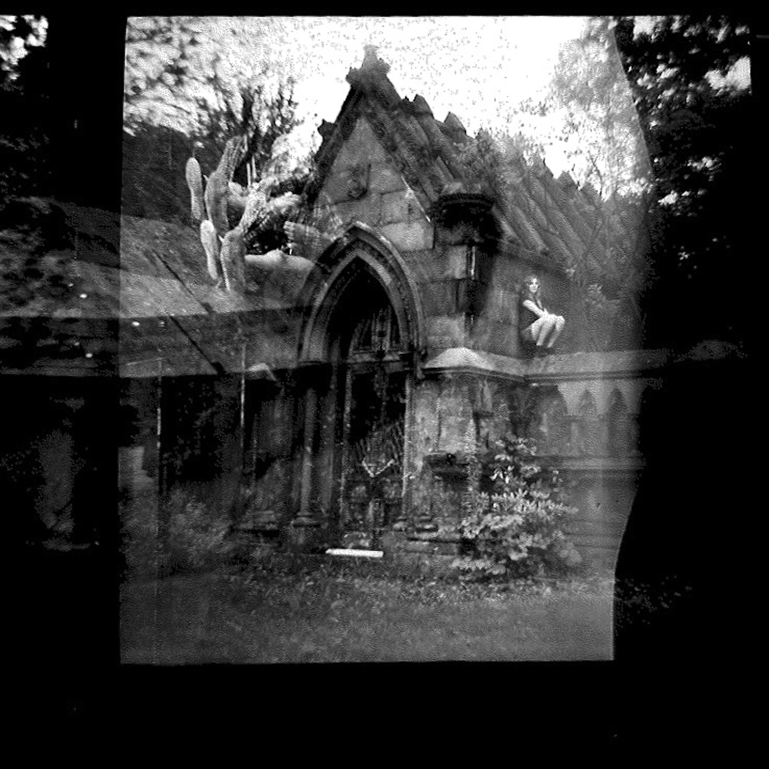 spring grove by alex harrell