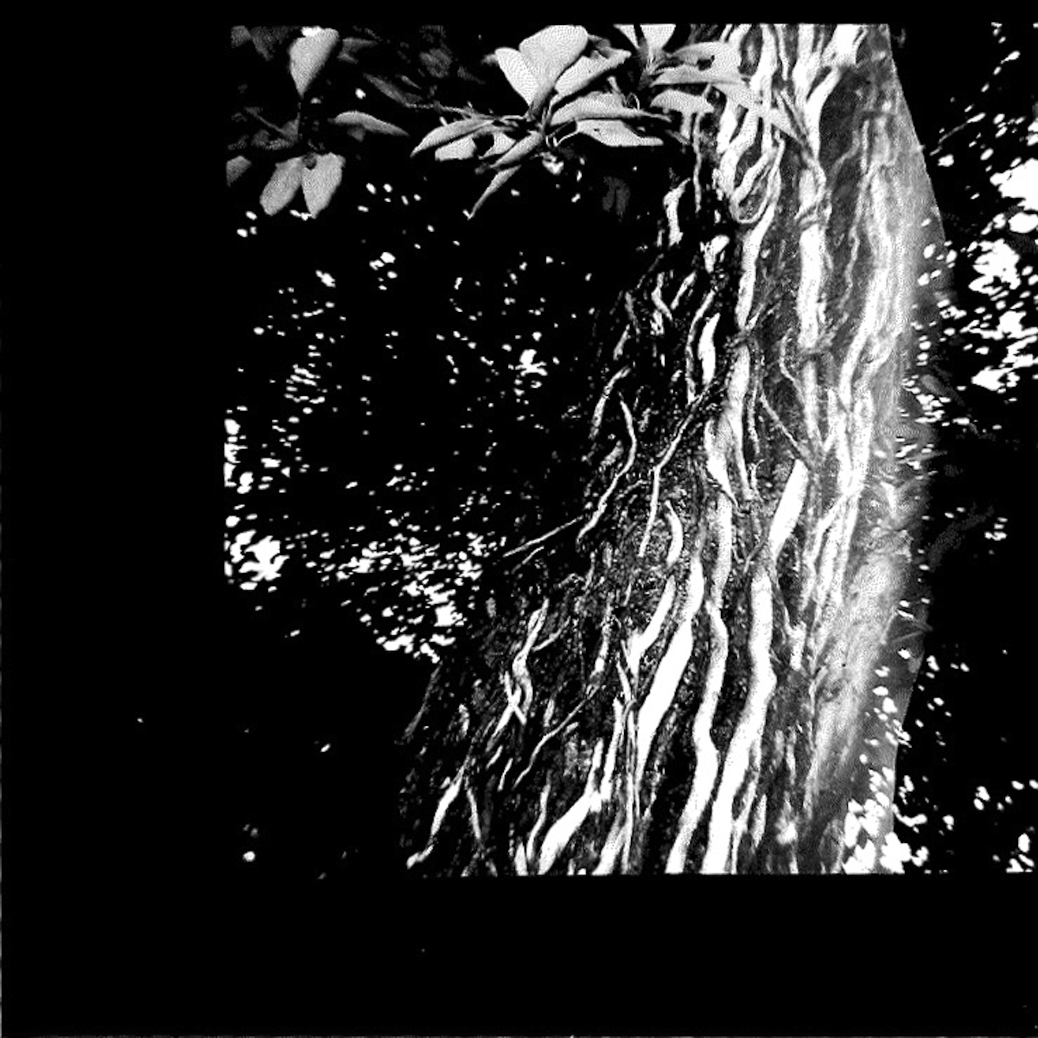 spring grove by alex harrell