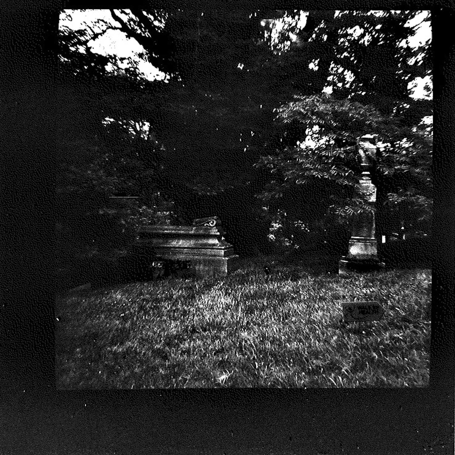 spring grove by alex harrell