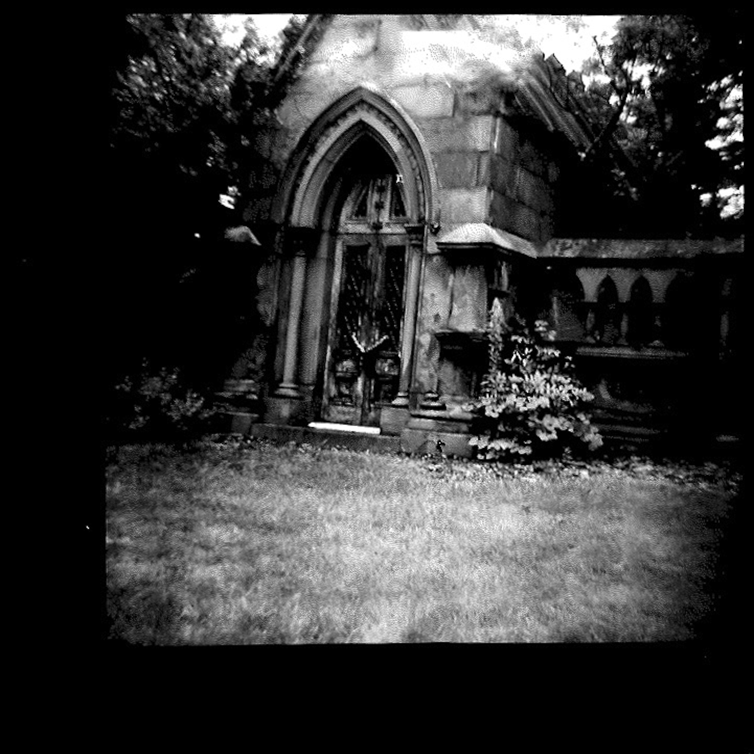 spring grove by alex harrell