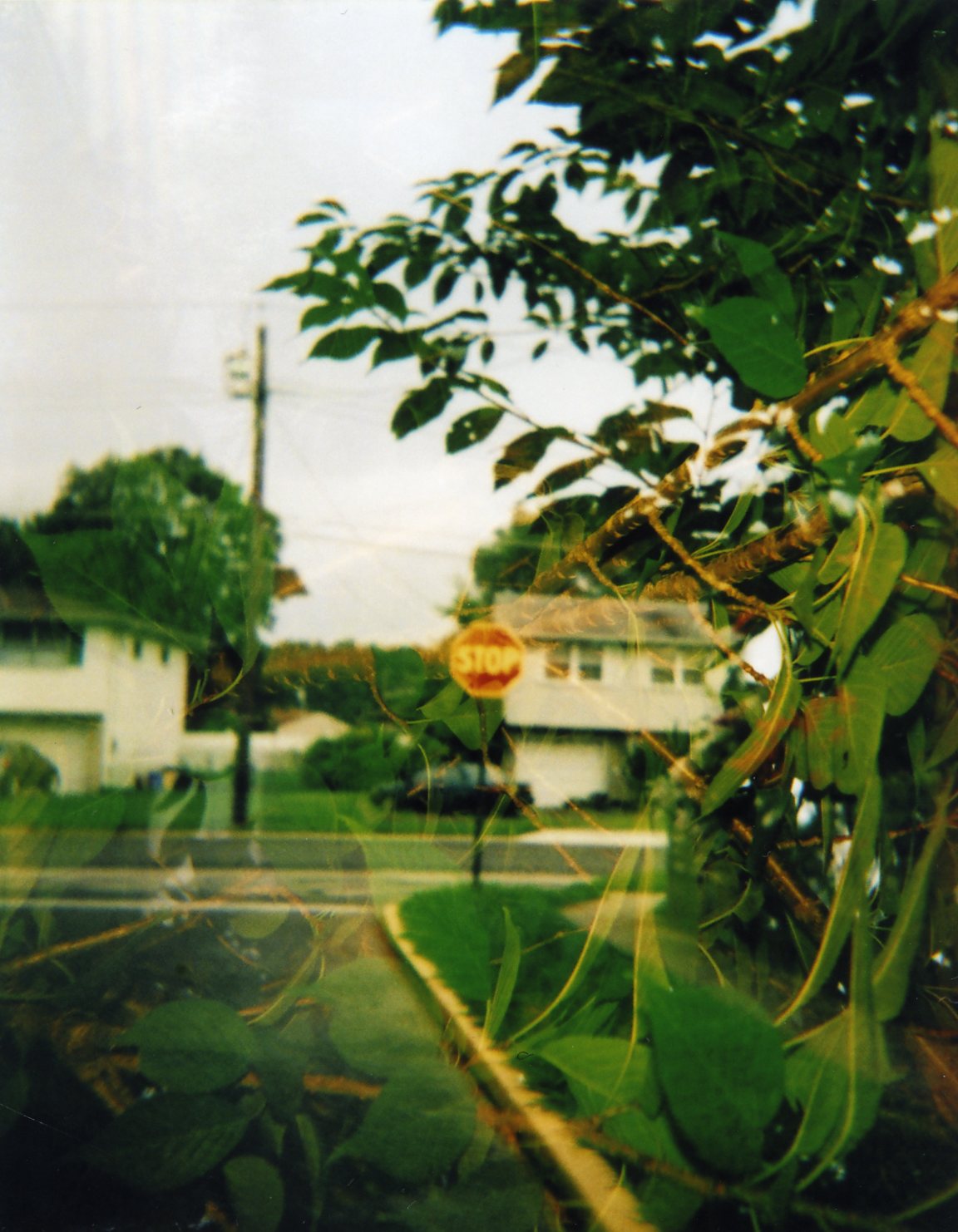 fat fingers by alex harrell